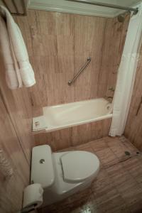 a bathroom with a toilet and a bath tub at Costa del Sol Wyndham Trujillo in Trujillo