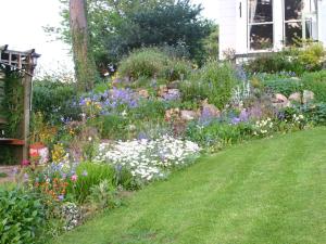 a garden with colorful flowers in a yard at Glan Heulog in Conwy