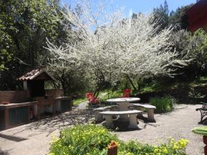 Ogród w obiekcie Casa Rural La Gustoza