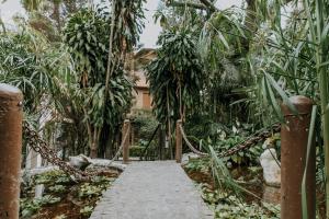 Jardin de l'établissement Hotel boutique Teocalli