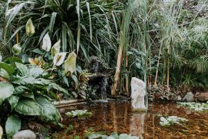 Jardin de l'établissement Hotel boutique Teocalli
