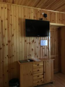 TV a/nebo společenská místnost v ubytování Guest House Eco home