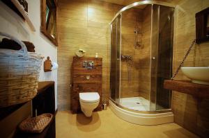 a bathroom with a shower and a toilet and a sink at Wiejski Dworek in Solina +17 photos