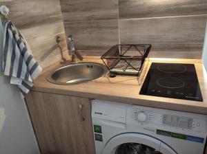 eine Küche mit einer Spüle und einer Waschmaschine in der Unterkunft Botanical garden in Zagreb