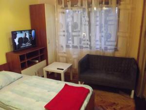 a bedroom with a bed and a couch and a television at Detached house at 100m distance of the lake surrounded by beautiful nature and with BBQ in Lokve