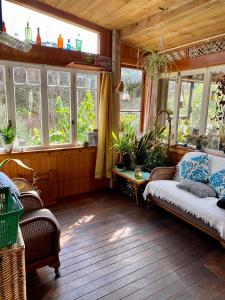 uma sala de estar com janelas e um sofá e cadeiras em Waiheke Island Guesthouse em Ostend