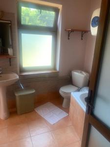 a bathroom with a toilet and a sink and a window at vila zia in Corbeni +109 photos