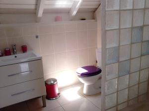 uma casa de banho com um WC com um assento roxo em STUDIO 2- Laurier - 4 pers - proche centre em Terre-de-Haut