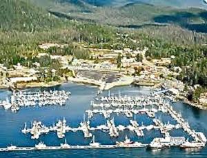 an aerial view of a marina with boats in the water at Captain's Quarters - Reduced Price Tours! in Mendenhaven