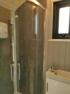 a shower with a glass door in a bathroom at the cwch in Llanbister