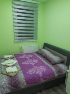 Ліжко або ліжка в номері Apartman HEDONIJA
