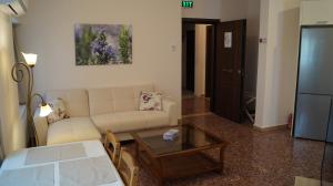 Гостиная зона в Luxury Apartment in Plaka - Acropolis (Rosemary)