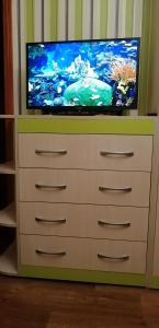 TV o dispositivi per l'intrattenimento presso Сomfort&Servis Apartment on Mira of Yuzhny