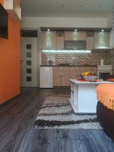 Кухня або міні-кухня у Apartman HEDONIJA