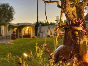 Zahrada ubytování Il Palmento Hotel Relais