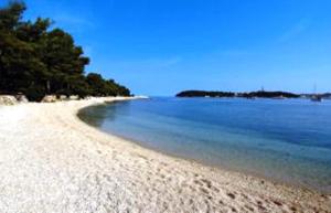 a white beach with trees and the water at Apartments Residence L'Ulivo in Rovinj