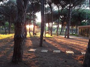 The sunrise or sunset as seen from the holiday home or nearby