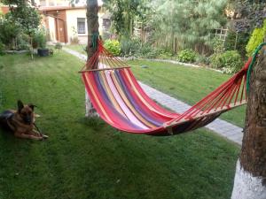 Afbeelding uit fotogalerij van Agroturystyka u Agaty in Chęciny