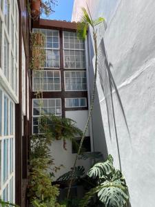 a building with a large window and some plants at Pension La Cubana in Santa Cruz de la Palma