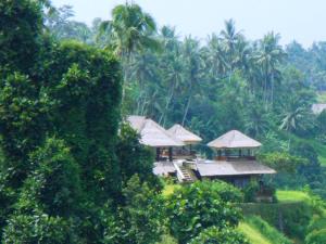 un resort nel mezzo di una giungla con palme di Villa Santai ad Ubud