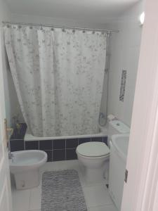 La salle de bains est pourvue de toilettes et d'un rideau de douche. dans l'établissement APARTAMENTO EN APOLO 7 a 100mts de la playa, à Calp