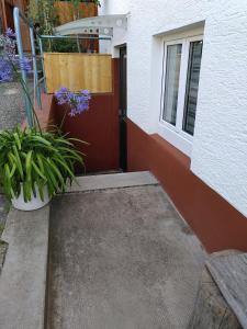 een voordeur van een huis met een potplant bij Fewo Frank in Aspach