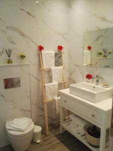 W łazience znajduje się umywalka, toaleta i lustro. w obiekcie Bouganville apartment Stegna w mieście Archangelos