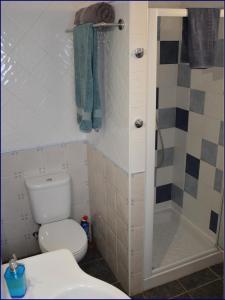 a small bathroom with a toilet and a shower at Studio Casa Formosa in Olhão