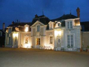 una gran casa blanca con luces encendidas por la noche en Château de Colliers en Muides-sur-Loire