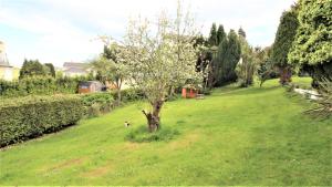 a tree in the middle of a green field at Chelston Dene Holiday Apartments in Torquay