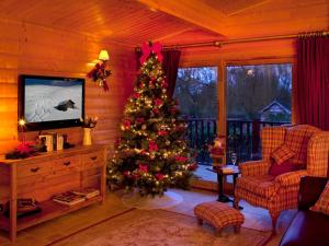 uma árvore de Natal numa sala de estar com televisão em Cherbridge Lodges - Riverside lodges, short lets (business or holidays) em Oxford