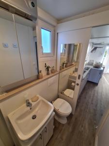 un bagno con lavandino e WC di Marina Seahouse Brina a Portoroz Altre 35 foto