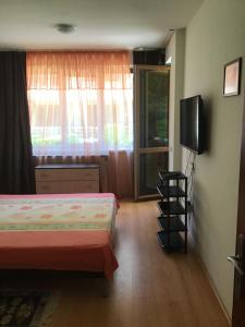 Μια τηλεόραση ή/και κέντρο ψυχαγωγίας στο SunnySeasons Apartment with swimming pool view