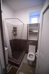a small bathroom with a toilet and a shower at Hostel Evropa in Nikšić