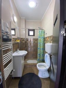 a small bathroom with a toilet and a sink at Vila Ale in Mamaia Sat/Năvodari +46 photos