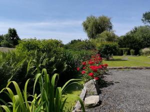 a garden with red flowers and plants at Cléome in Arques-la-Bataille