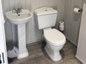 a bathroom with a white toilet and a sink at The Cornubia Inn in Hayle