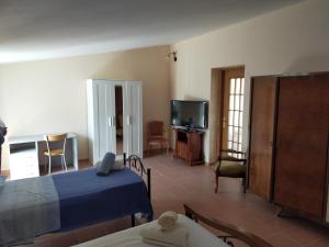 a bedroom with a bed and a tv in a room at B&B il giardino di Eolo in Pietramelara