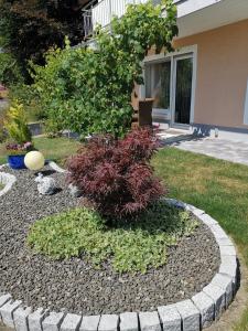 a garden with a plant in the middle of a yard at Ferienwohnung zum Bätstän in Pluwig