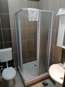 a bathroom with a shower with a toilet and a sink at Villa Gurman 024 in Bačka Topola