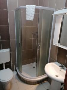 a bathroom with a shower and a toilet and a sink at Villa Gurman 024 in Bačka Topola