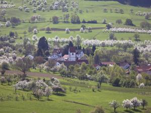 Gallery image of Landhotel Graf in Schliengen