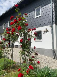 um grupo de flores vermelhas em frente a um edifício em Ferienwohnung Eulennest em Dippoldiswalde