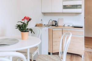 Kuchyňa alebo kuchynka v ubytovaní Duszniki-Zdrój Przytulny Apartament z Tarasem + 4 fotografie