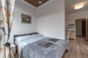 Posteľ alebo postele v izbe v ubytovaní Duszniki-Zdrój Przytulny Apartament z Tarasem