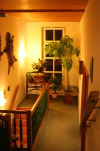 a hallway with potted plants and a window at Hammers Landhotel GmbH in Teltow