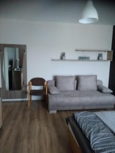 salon z kanapą i krzesłem w obiekcie KarosPool Apartman w Zalakaros +5 zdjęć