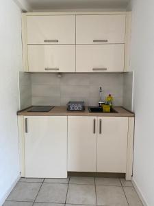 Kuchyň nebo kuchyňský kout v ubytování Apartments Boss