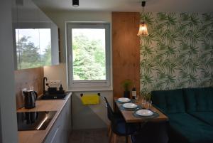 希維拉杜夫茲德魯伊的住宿－Apartament RESTO，一个带桌子和窗户的小厨房