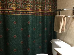 a bathroom with a green shower curtain and a toilet at Homestead Lodging in Smoketown